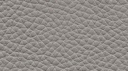 Cuir Gris ARTICH